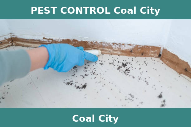 PEST CONTROL Coal City